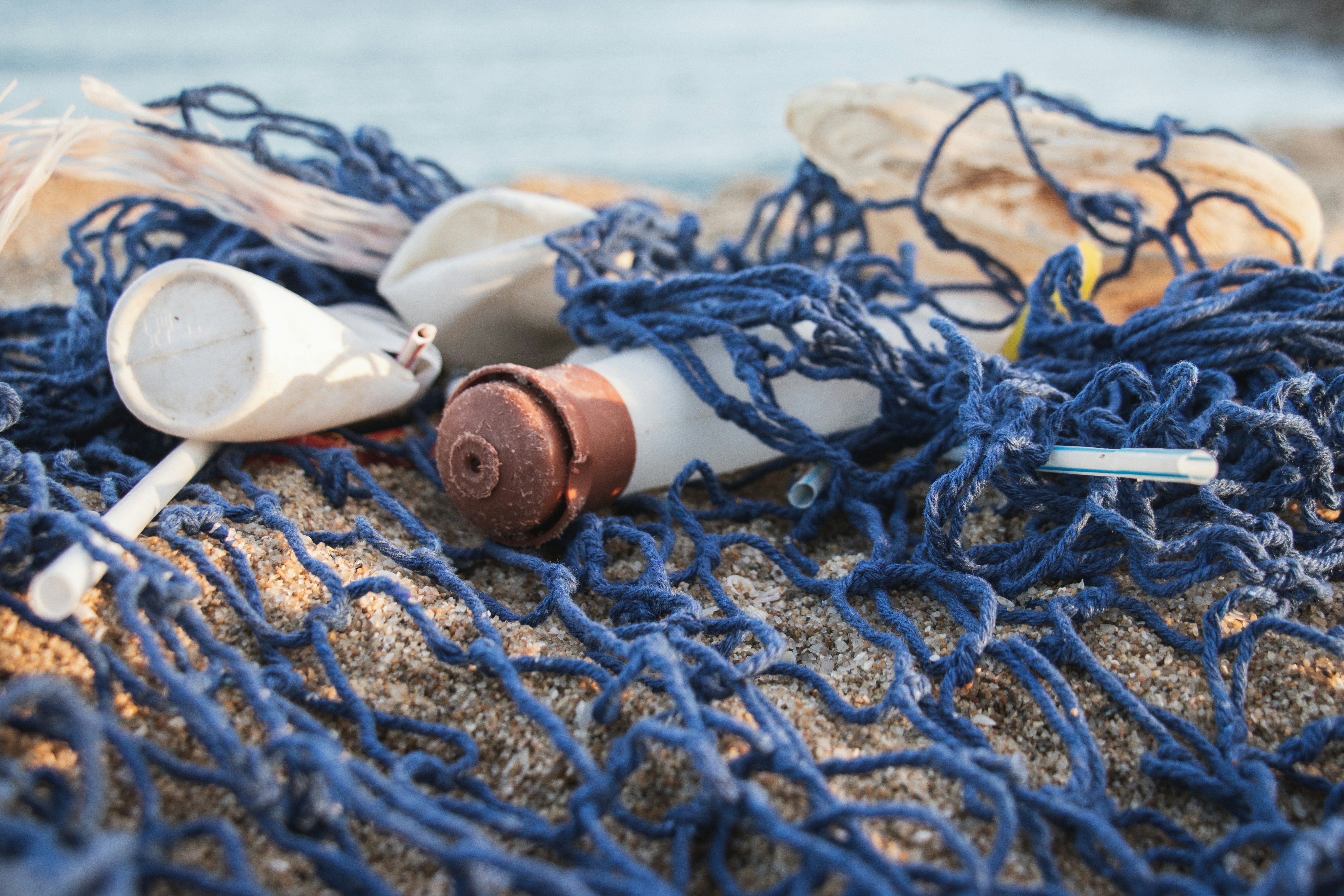 Great Pacific Garbage Patch: what is it and what can be done