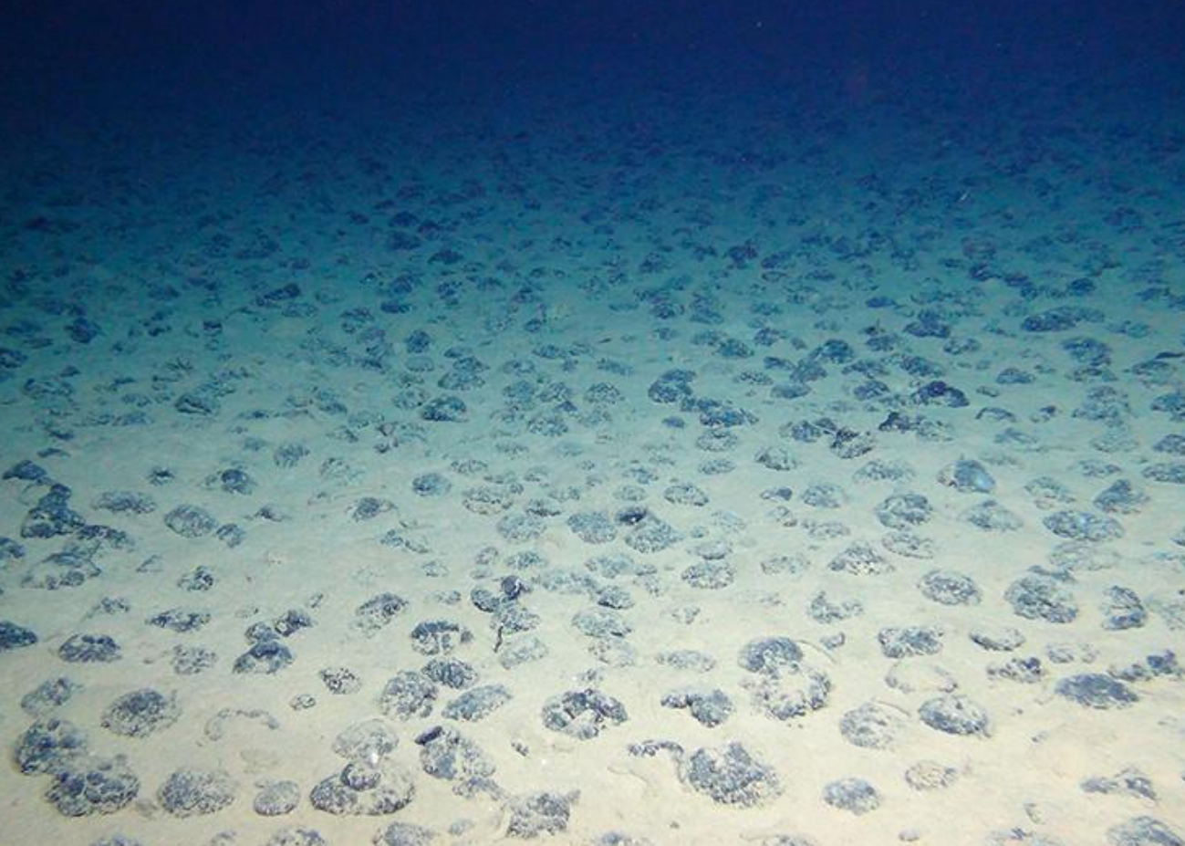 Deep-Sea Mining: An Uncertain Future for the Ocean Floor